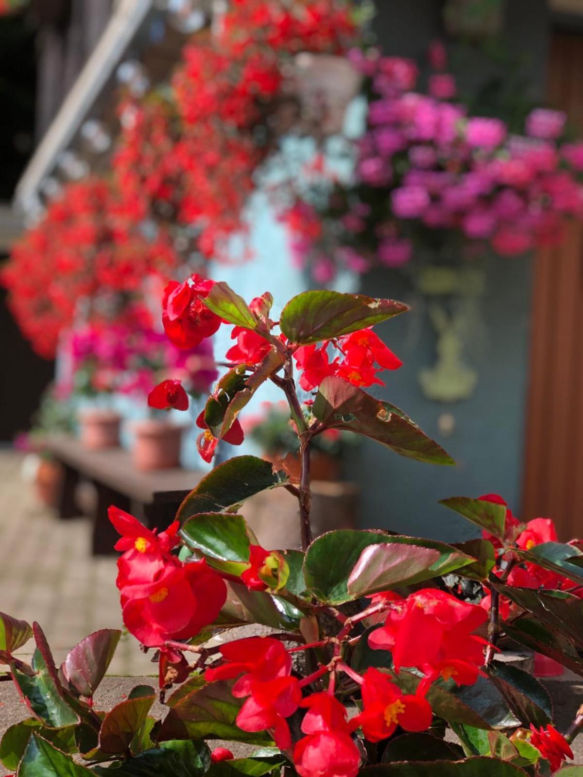 Vordernberg Haus-Erzberg B&B 외부 사진