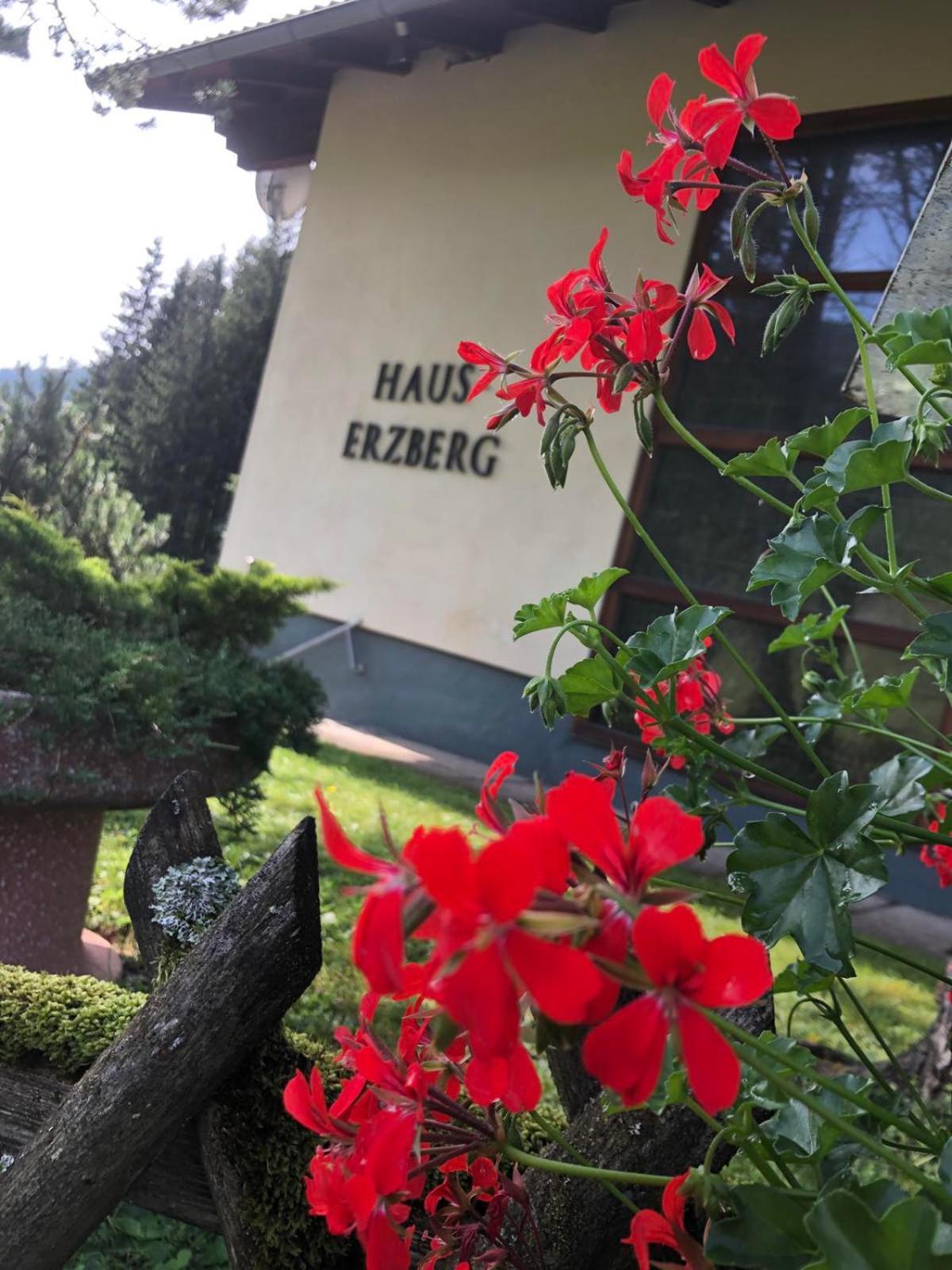 Vordernberg Haus-Erzberg B&B 외부 사진